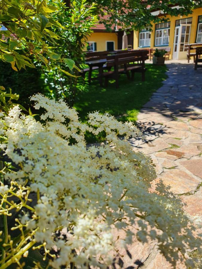 Отель Landhof Steinbaeck Sankt Stefan ob Stainz Экстерьер фото